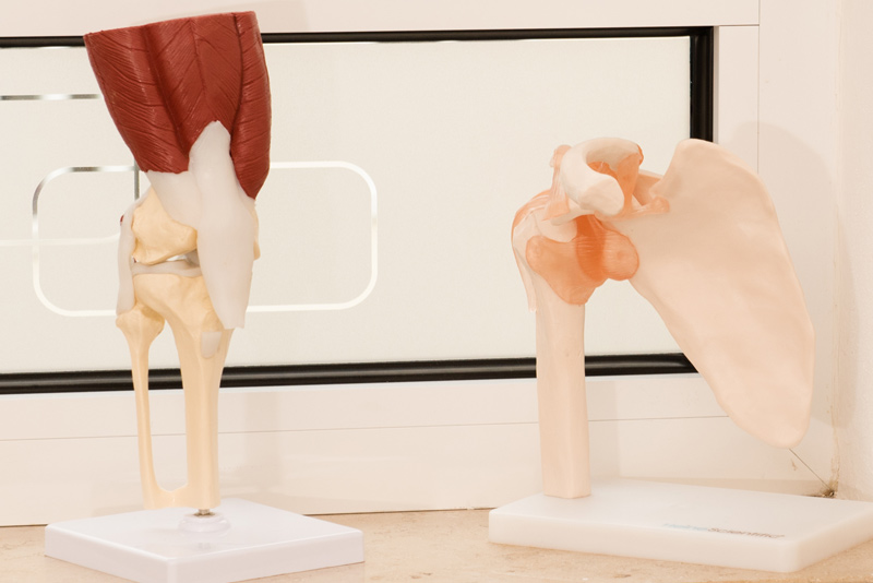 schulter knie gelenkt